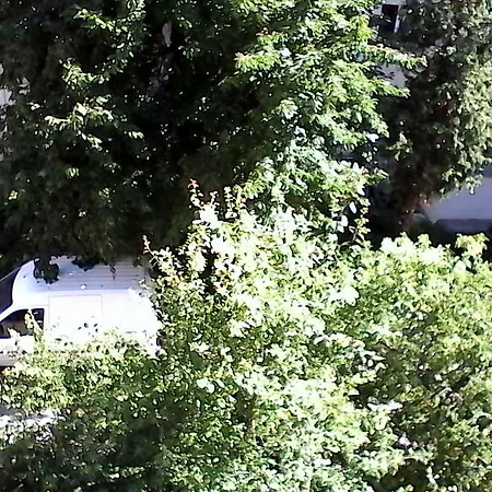 Pansiyon Litoral Köstence